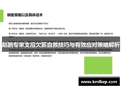 赵鹏专家支招欠薪自救技巧与有效应对策略解析
